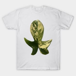 Colorful Variegated Philodendron Pedatum Design T-Shirt